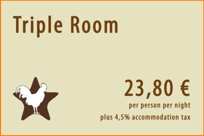 Graphic price triple room